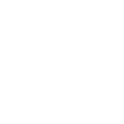 Dussur