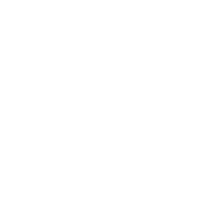 The Line Exhibition